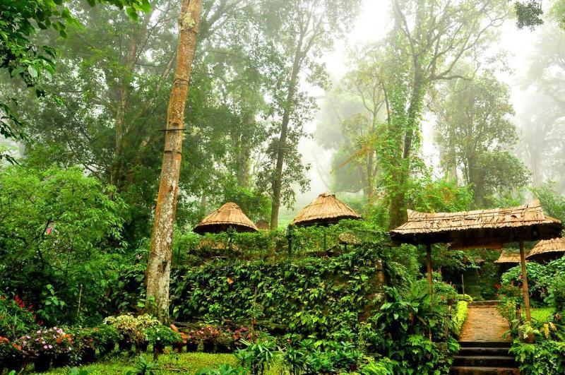 The Tall Trees Munnar Luaran gambar