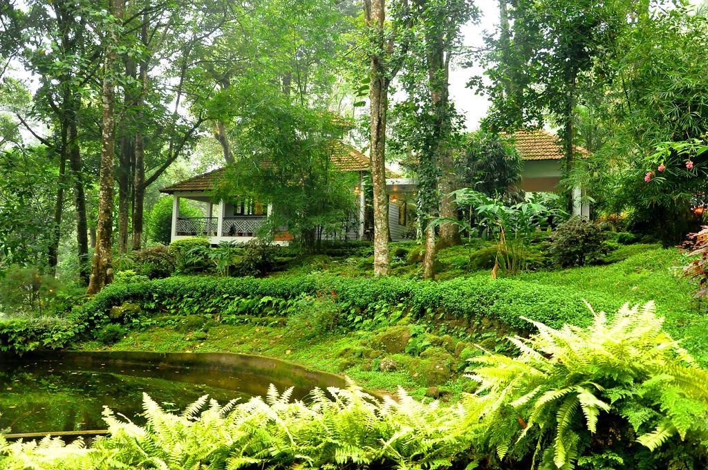 The Tall Trees Munnar Luaran gambar