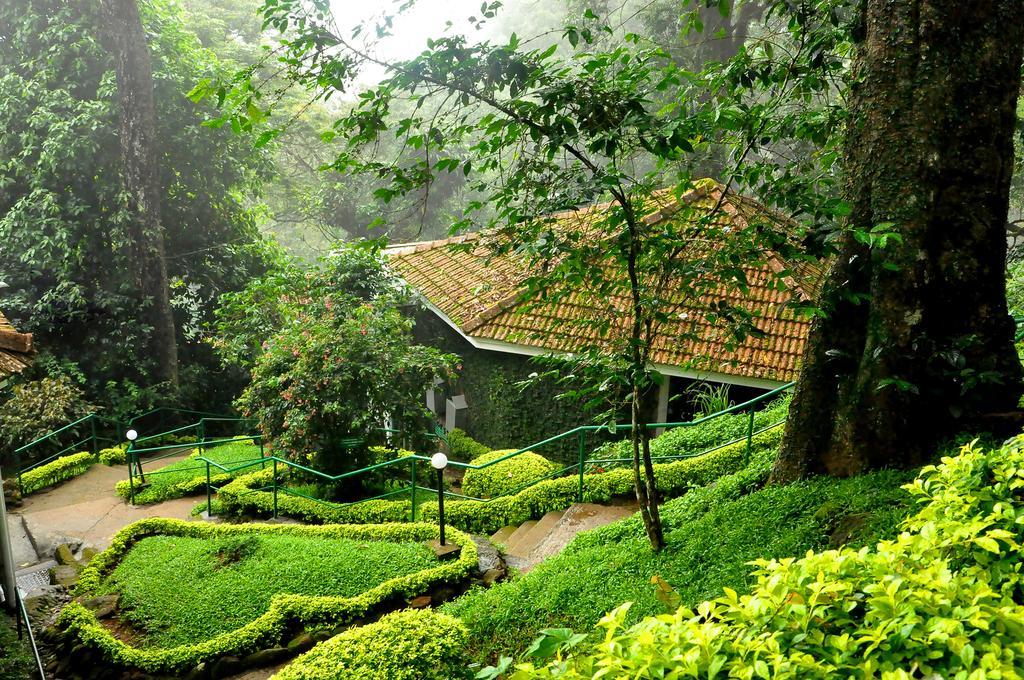 The Tall Trees Munnar Luaran gambar
