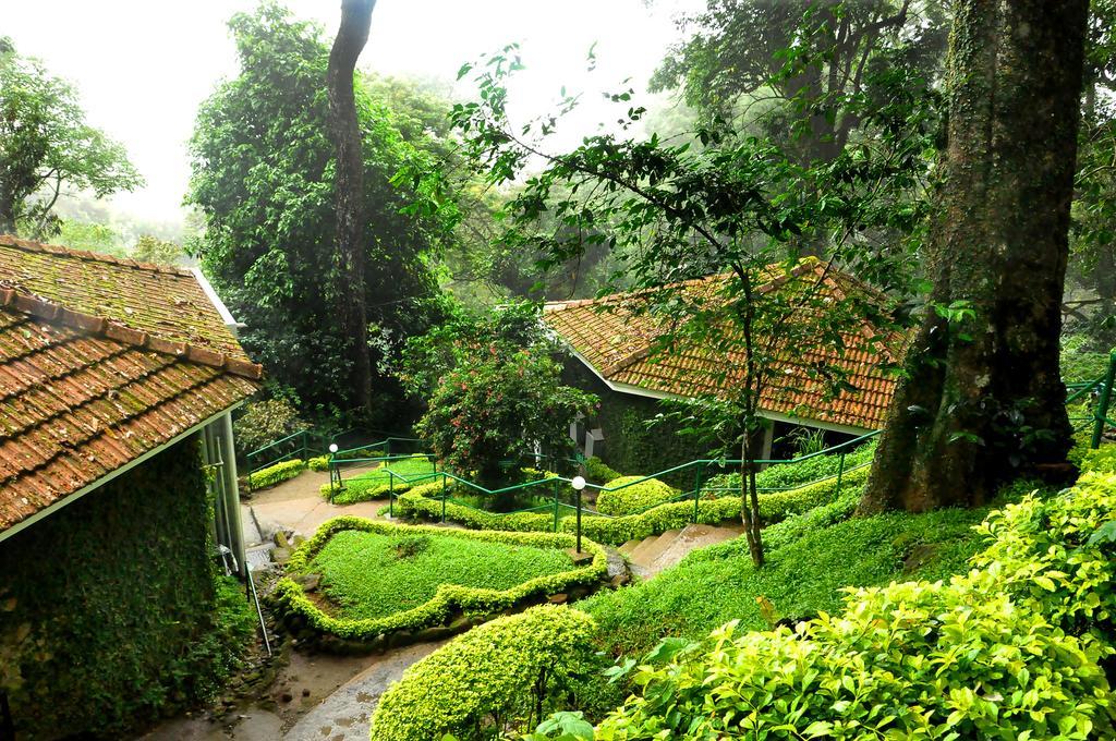 The Tall Trees Munnar Luaran gambar