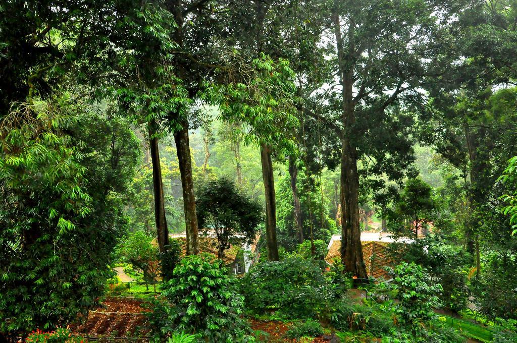 The Tall Trees Munnar Luaran gambar