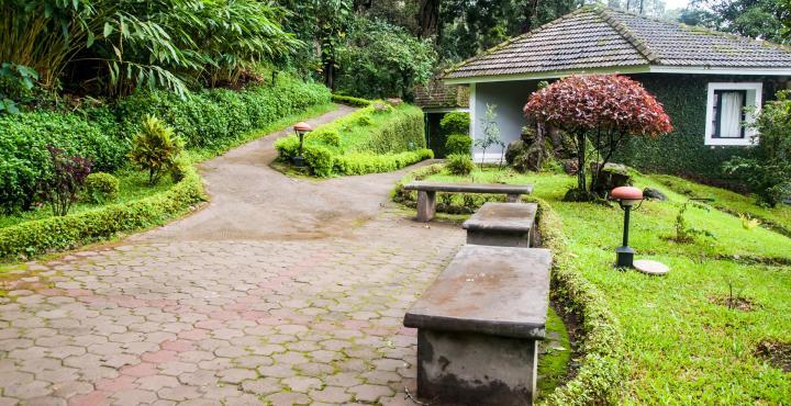 The Tall Trees Munnar Luaran gambar
