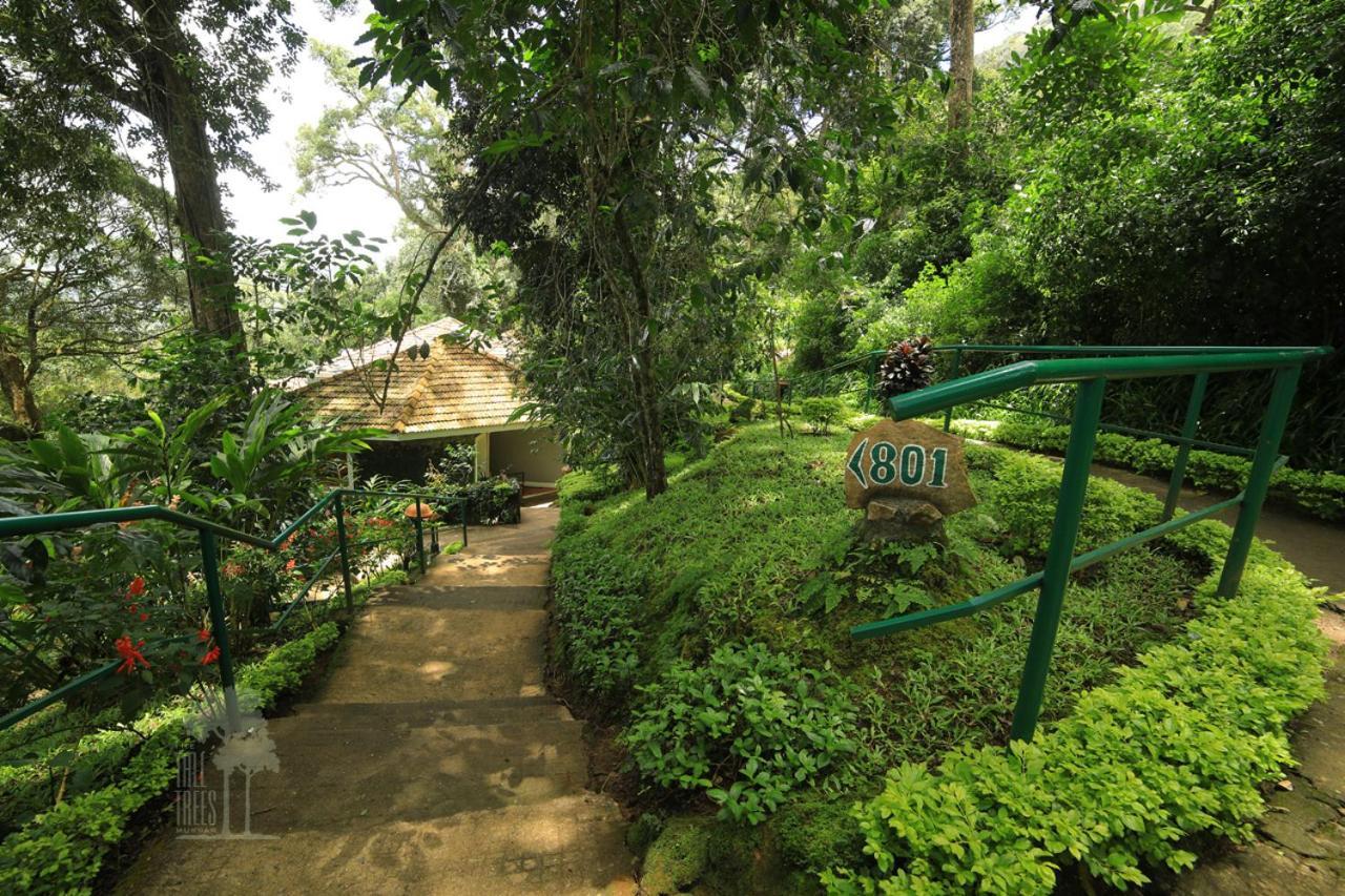 The Tall Trees Munnar Luaran gambar