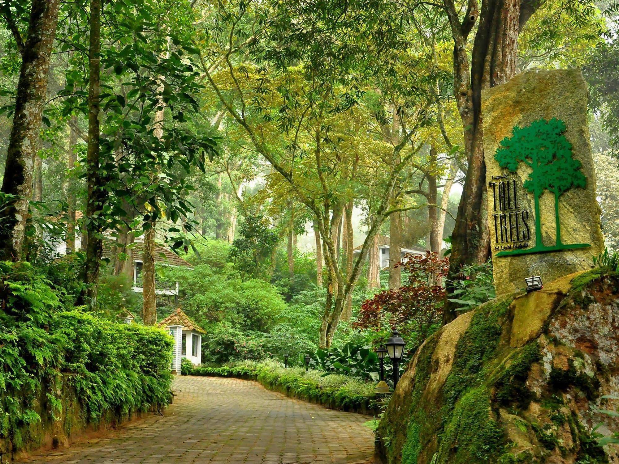 The Tall Trees Munnar Luaran gambar