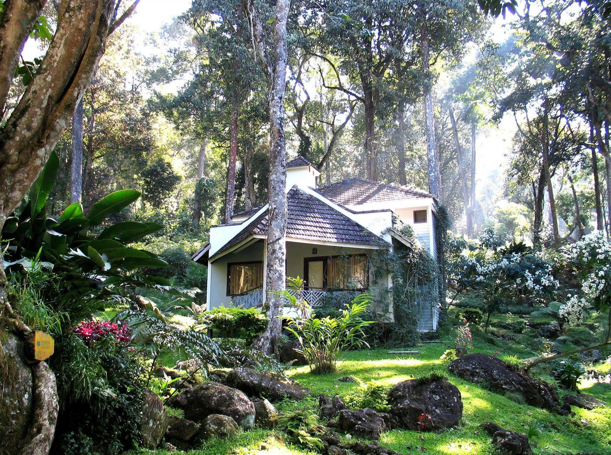 The Tall Trees Munnar Luaran gambar