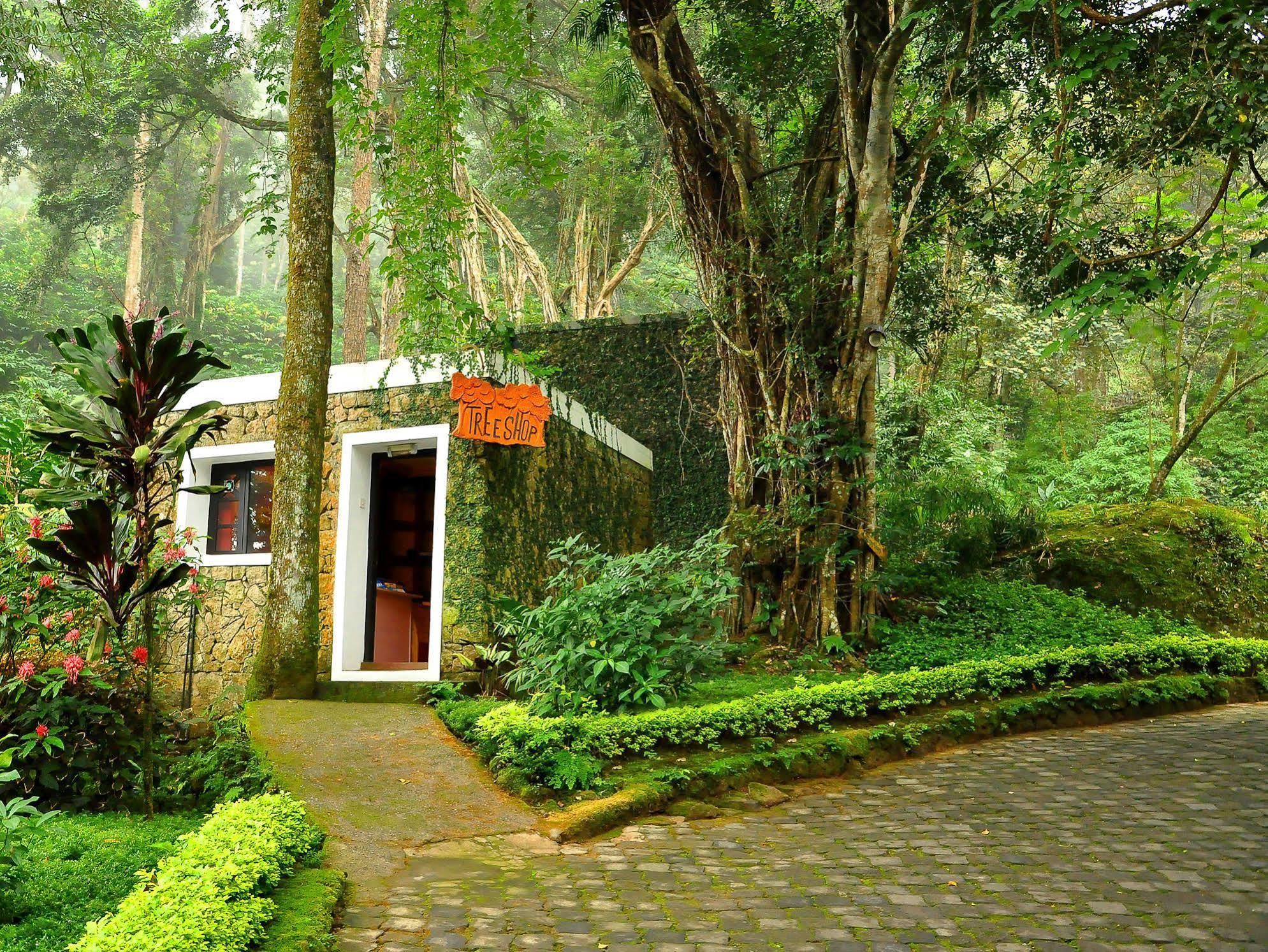 The Tall Trees Munnar Luaran gambar