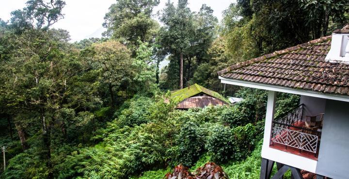 The Tall Trees Munnar Luaran gambar