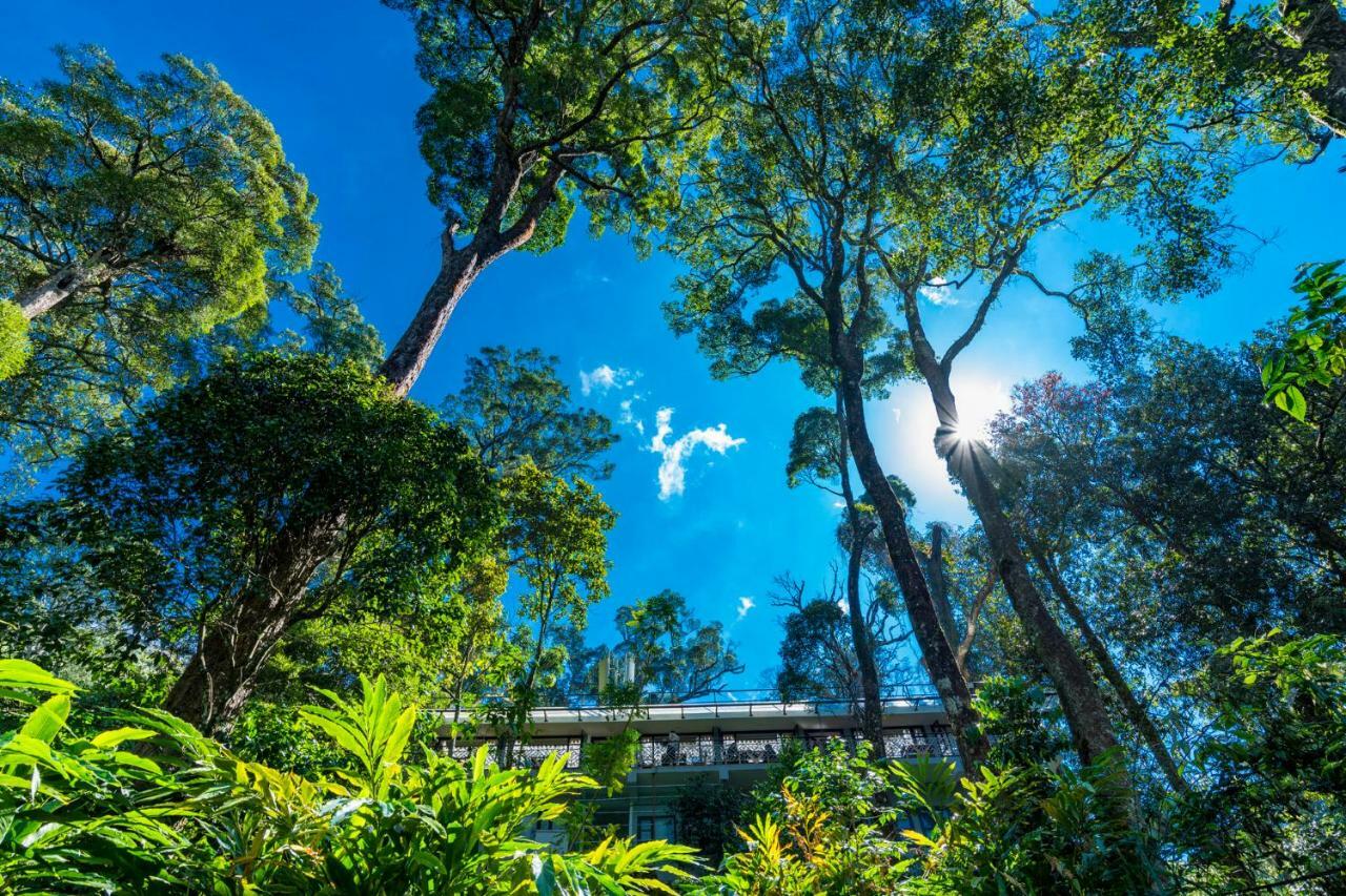 The Tall Trees Munnar Luaran gambar