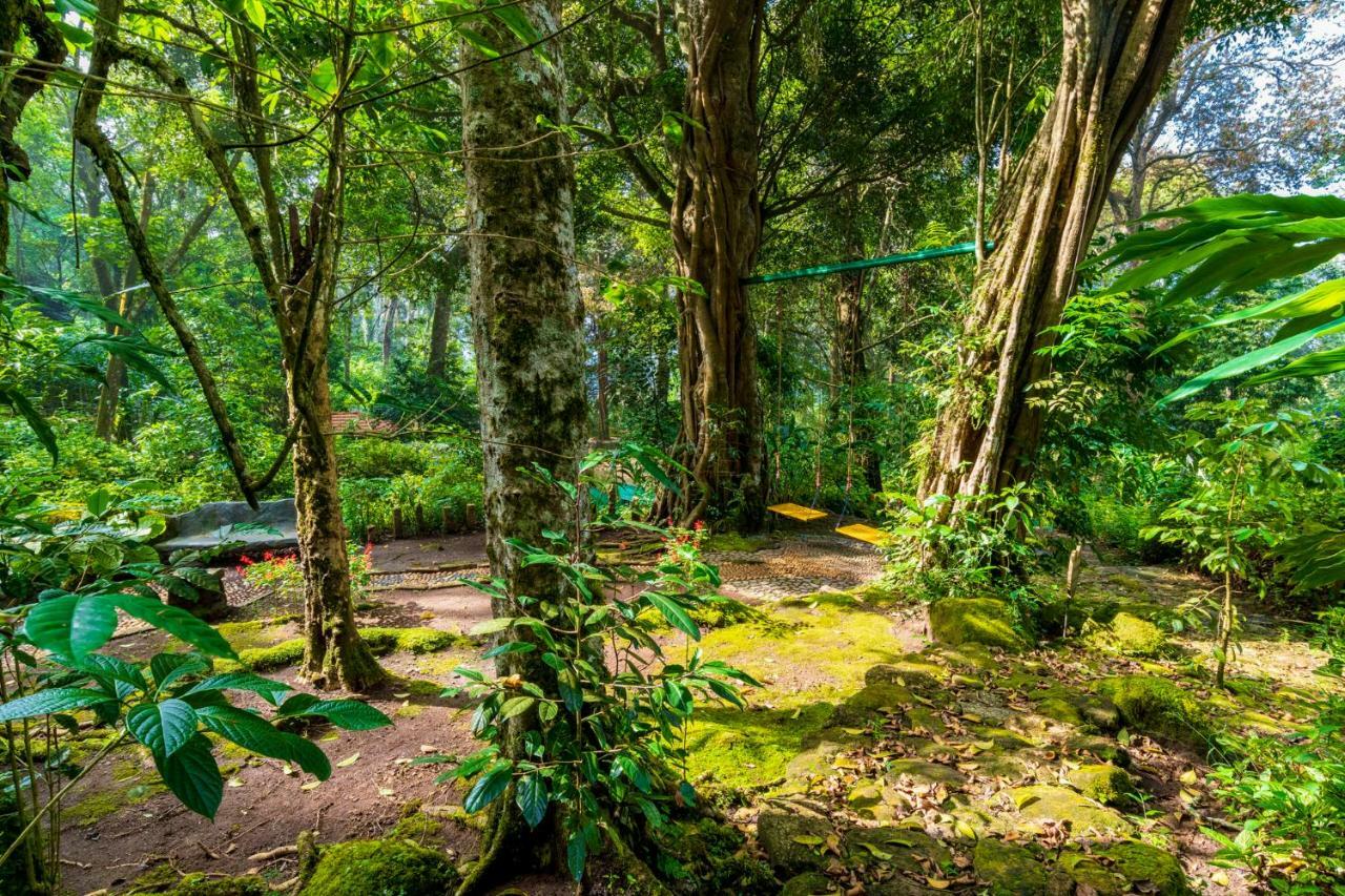 The Tall Trees Munnar Luaran gambar