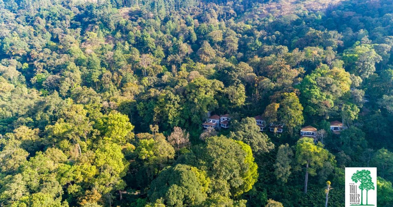 The Tall Trees Munnar Luaran gambar