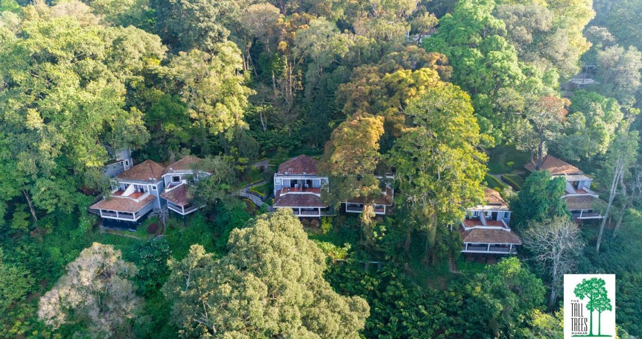 The Tall Trees Munnar Luaran gambar