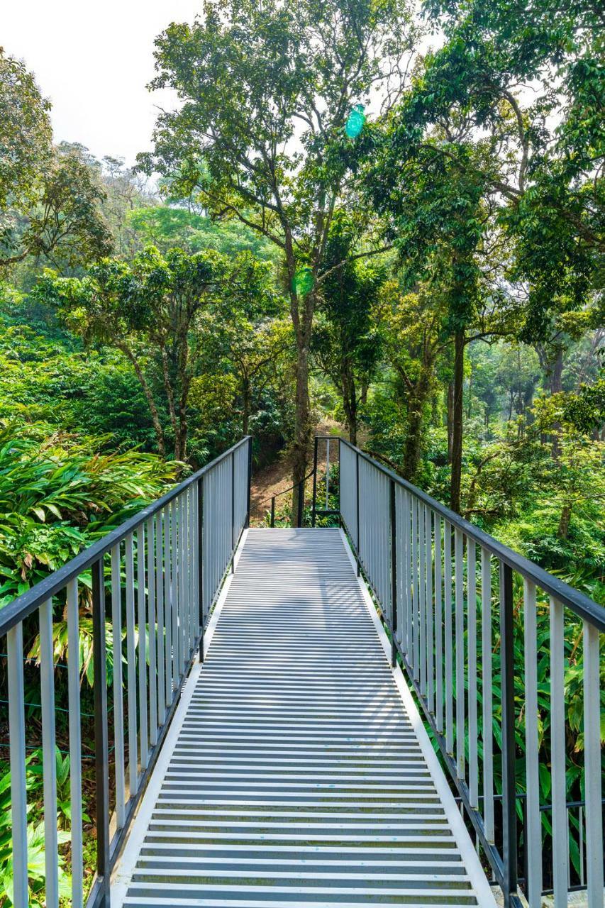 The Tall Trees Munnar Luaran gambar