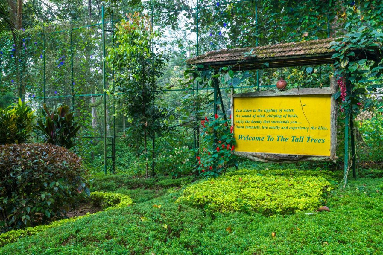 The Tall Trees Munnar Luaran gambar