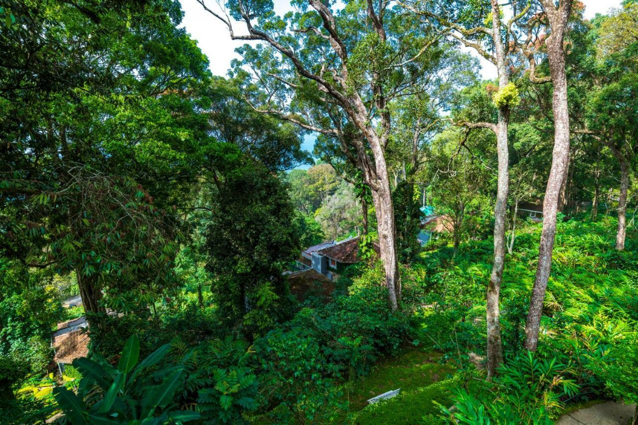 The Tall Trees Munnar Luaran gambar